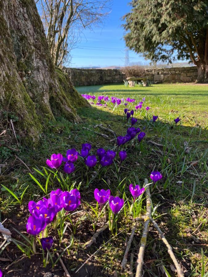 South Craighall B&B Eaglesham Exteriér fotografie