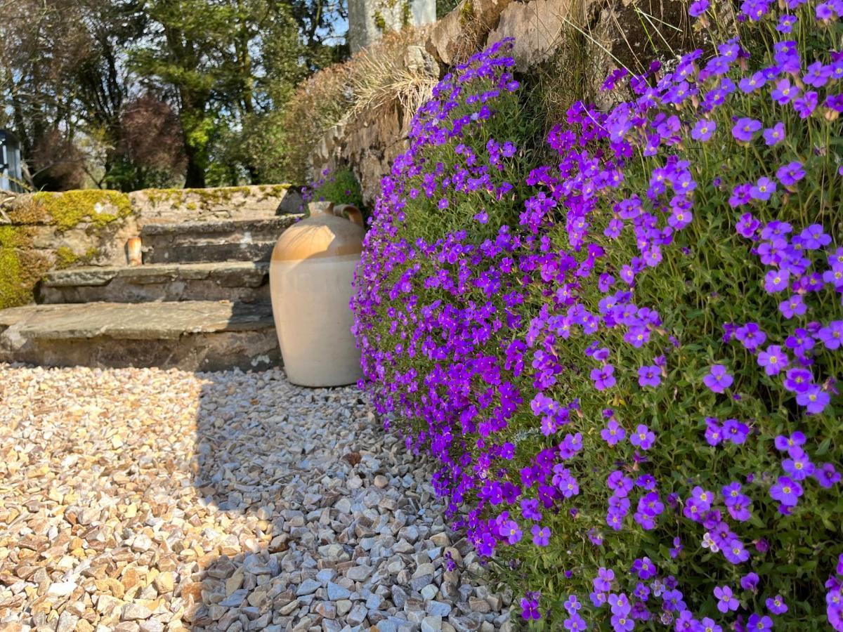 South Craighall B&B Eaglesham Exteriér fotografie